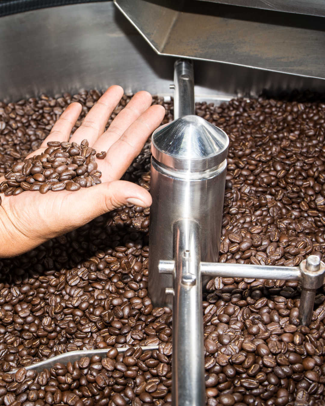 coffee production roasting