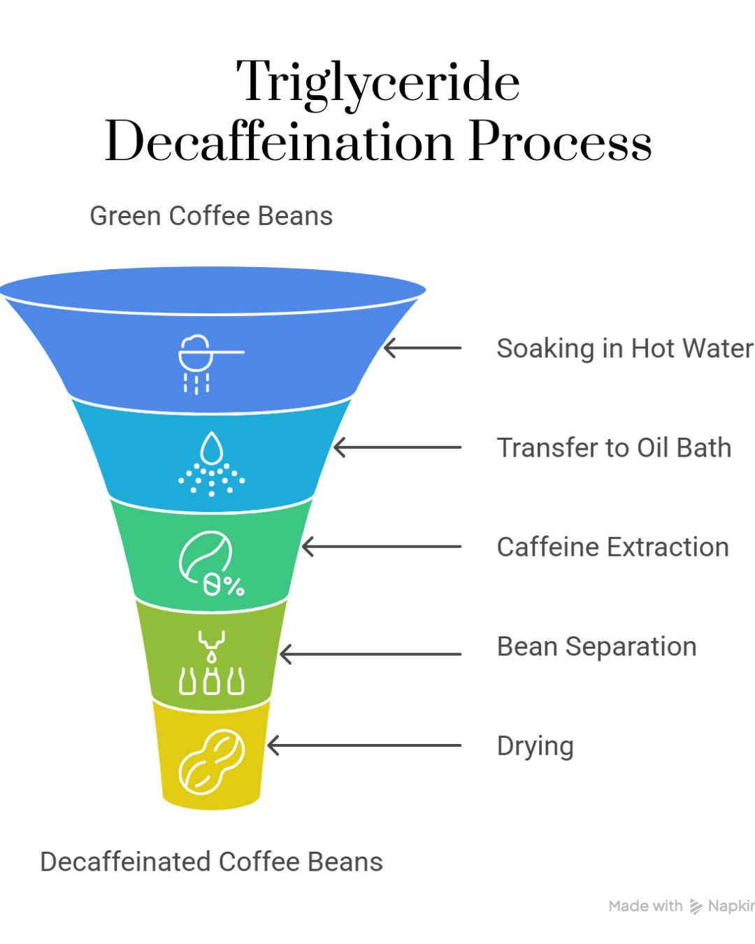 triglyceride coffee decaffeination process