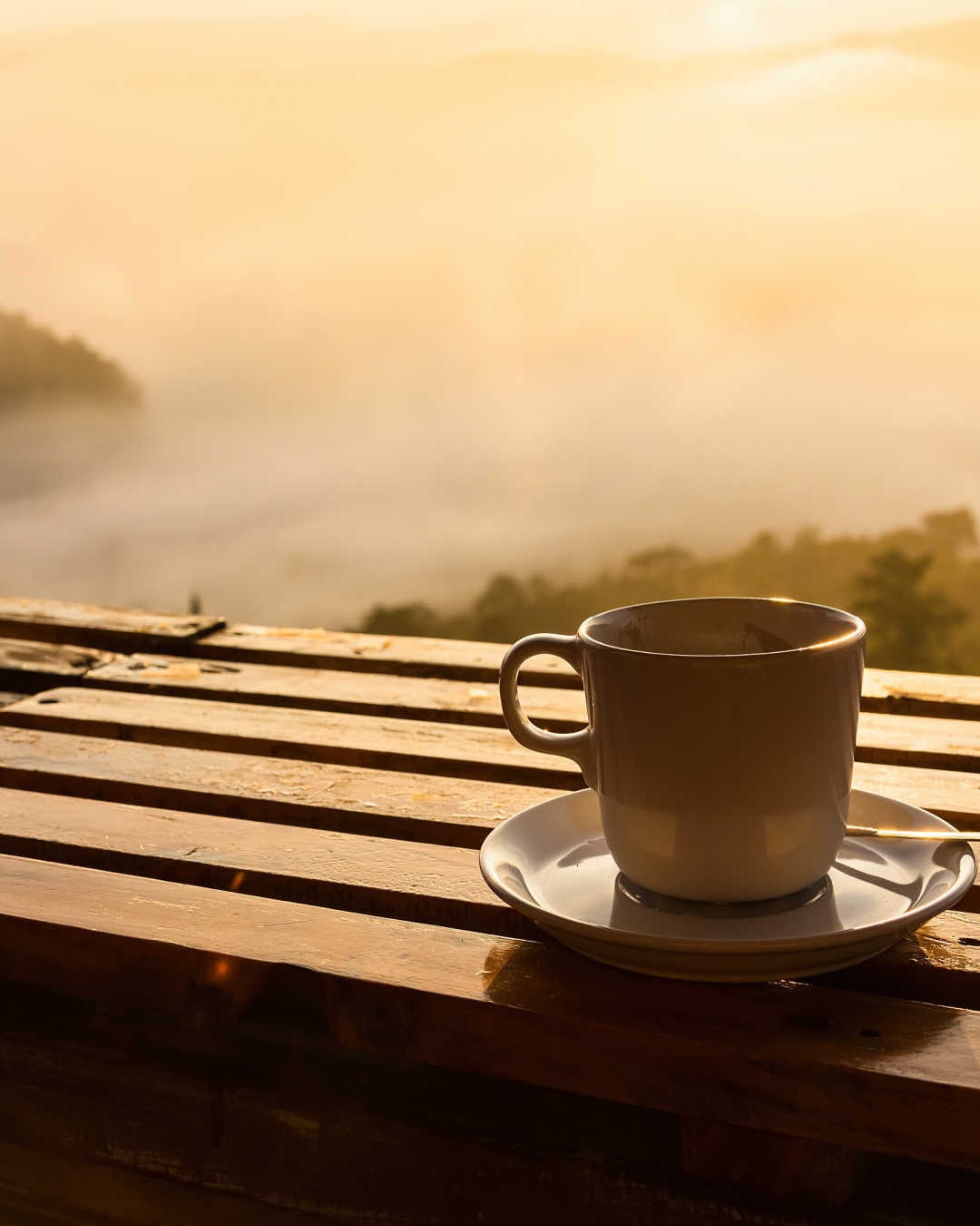 quiet morning with coffee mug, mountain scene
