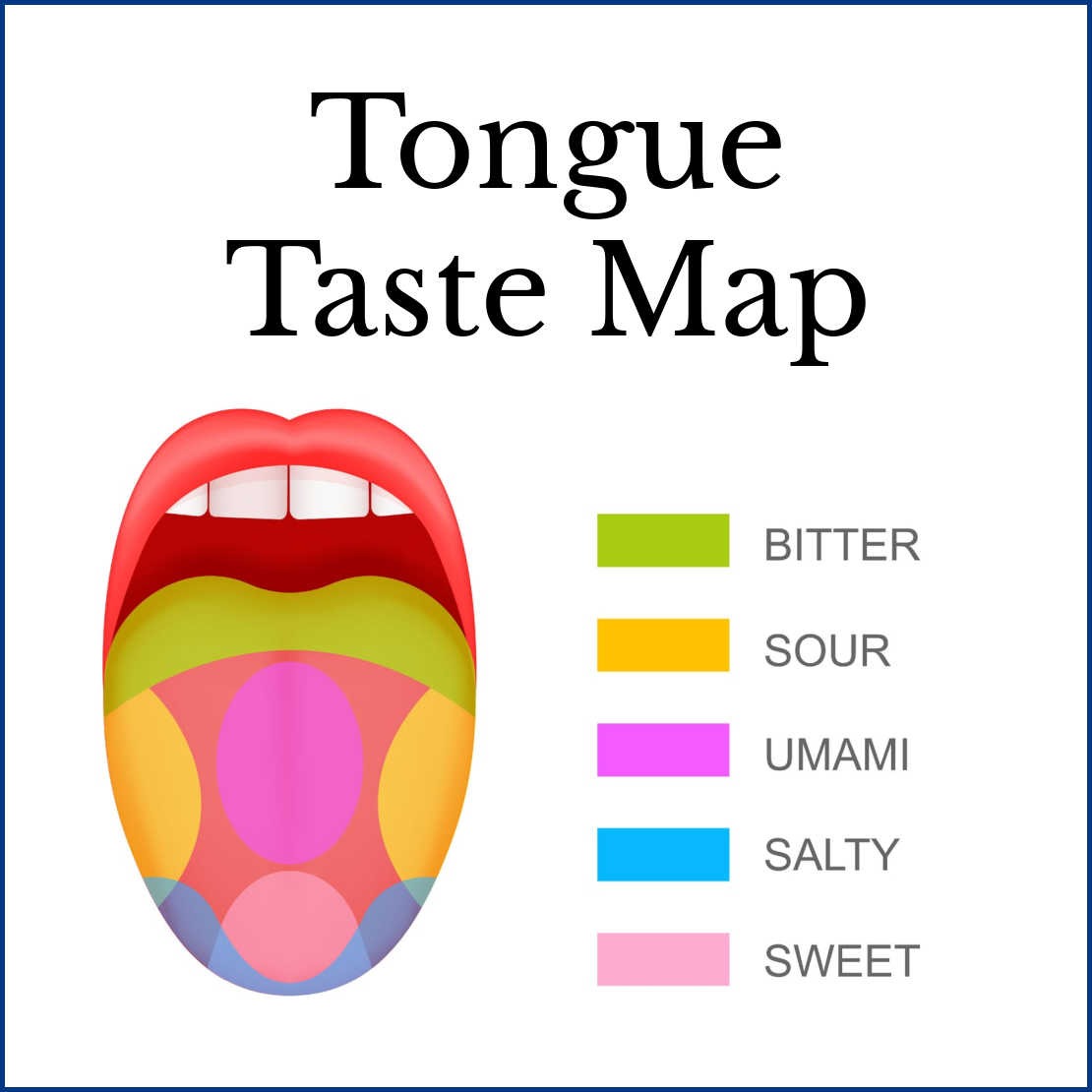 tongue taste map